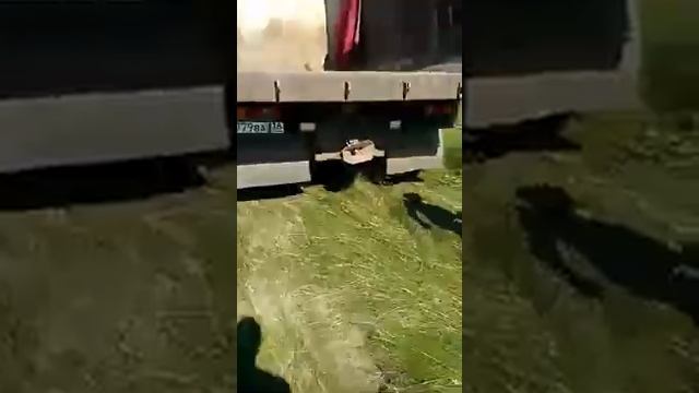 По мнению чиновников, свалка находится слишком далеко от жилого массива