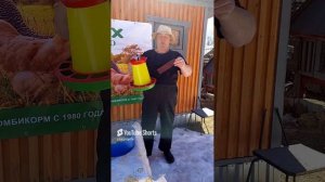 ДРЕВНИЙ СПОСОБ БОРЬБЫ С РАСКЛЁВОМ У КУР!!! 22.04.2025 год.