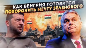 «Тиса» в огне: Зачем Венгрия выдвинула танки к границе Украины?