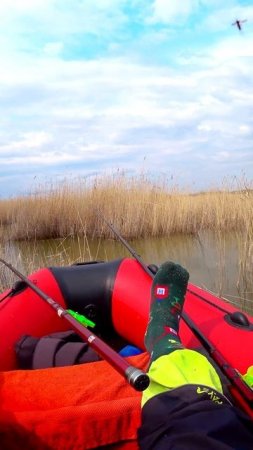 ТАК И РЫБАЧИМ! #shorts #рыбалка #fishing #рыба #fish #эдвардкосичка  #природа #nature #отдых #rest