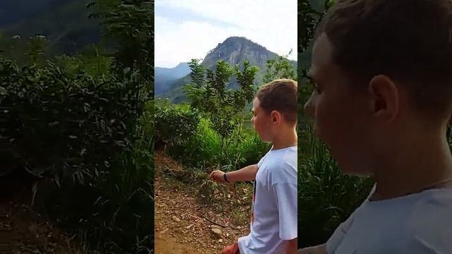 горы элла смотреть онлайн