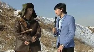 Коишы прикол