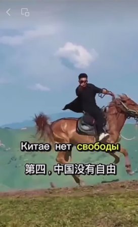 Интересное о Китае https://cargolog.ru