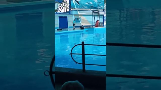 Я был в Агое 25.08.2020. смотреть онлайн