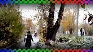 Гр. "FM 154"  МЕТЕЛЬ