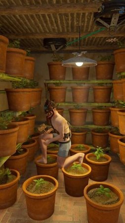 На одном фундаменте сорок пять горшков. Rust