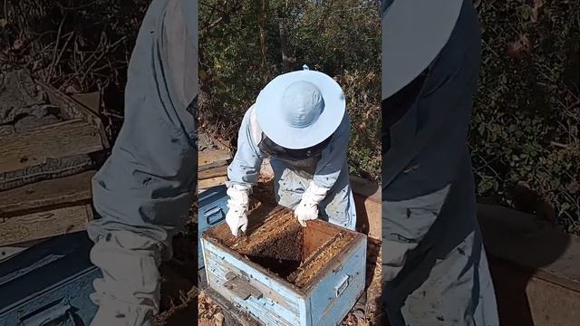 сокращение гнезда 29 сентября2023г смотреть онлайн