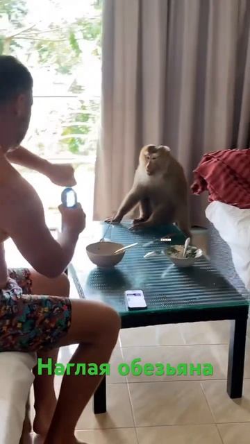 5 января 2024 г. смотреть онлайн