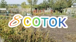 ОБХОД ПО ЗАРАСТАЮЩЕМУ УЧАСТКУ #8соток//МНЕНИЕ ПОСЛЕ РАБОТЫ АККУМУЛЯТОРНЫМ ТРИММЕРОМ