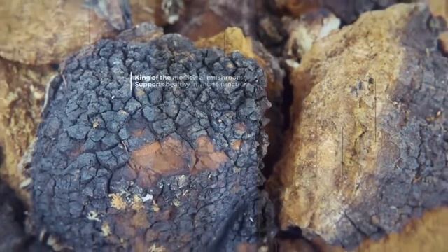 jo bing заработок +в интернете смотреть онлайн