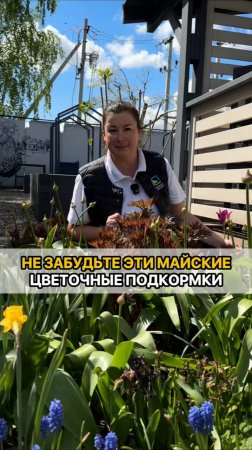 Не пропустите майские цветочные подкормки!