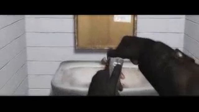 Приколы Сталкер смотреть онлайн