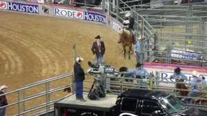 Хьюстонское родео: заарканить бычка - 2