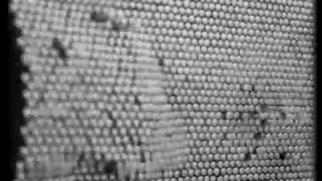 Caprichos- помним о смерти смотреть онлайн