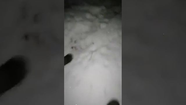 охота в поружнию 2021 смотреть онлайн