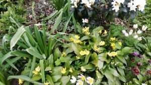 Уголок у дуба, 16.05.2025