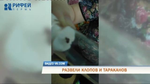 Телевизионная служба новостей 28 января