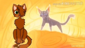 теория снежок это снегоухий?(не очень получилось😢)#edith #врекиютуба #котывоители #подпишись