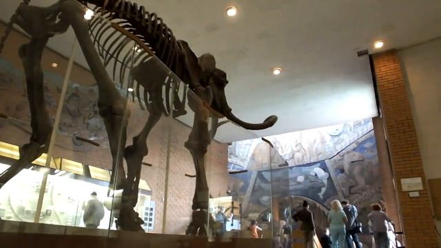 ЮЗАО Заповедник монстров смотреть онлайн