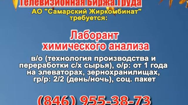 13 октября _19.20_Работа в Самаре_Телевизионная Биржа Труда смотреть онлайн