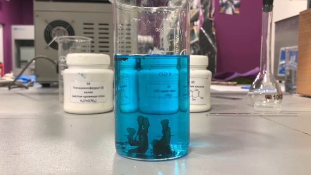 Выращивание клеточек Траубе в искусственной среде смотреть онлайн