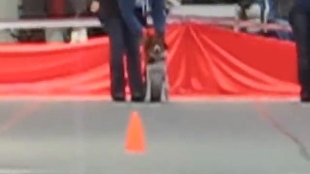 Гурова Катя и Ведьма Сокольники-2.wmv смотреть онлайн