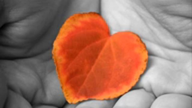 любить ето верить смотреть онлайн