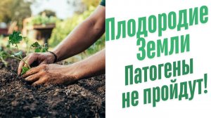 Органическое выращивание.