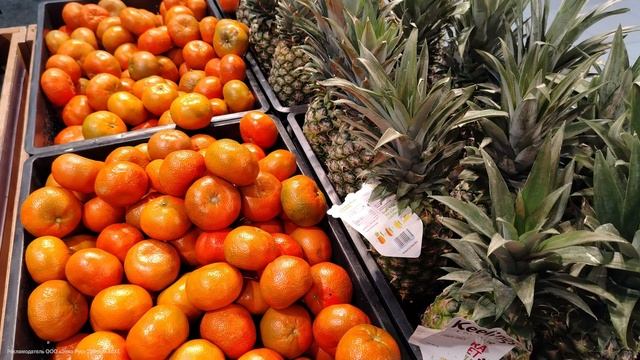 ОБЗОР HONOR X9b: КРАШ-ТЕСТ САМОГО ПРОЧНОГО СМАРТФОНА 2024-2025 смотреть онлайн