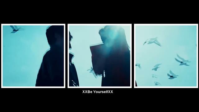 ►Hayat & Murat__Ты яркий свет для меня смотреть онлайн