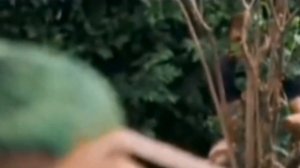 Злодей Бо Синн