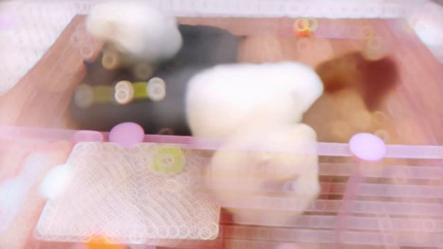 Щенки померанского шпица, мальчики и девочки, мини и стандарт! Купить шпица в питомнике. 8999212161 смотреть онлайн