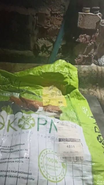 Каждому животному разный корм. #животные #деревня #коз? смотреть онлайн