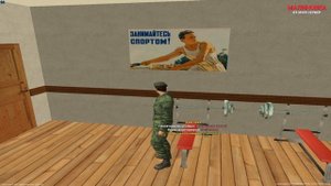 Как беспалевно качать фитнес в Армии  | Malinovka RP 02