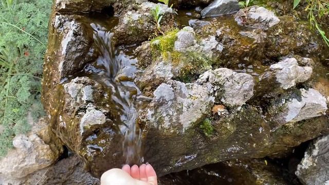 Симфония камней! Встретились спустя 8 месяцев! смотреть онлайн