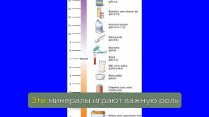 РАК боится этих продуктов! ТОП 11 продуктов, уничтожающ