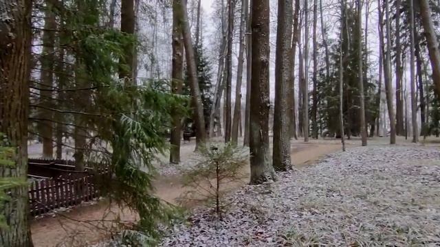 Поздняя осень в абрамцевском парке смотреть онлайн