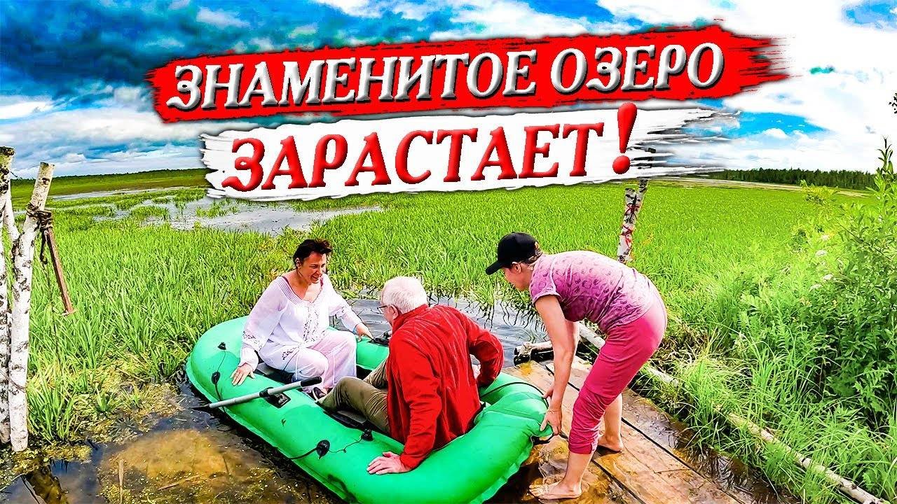 436. Озеро Шайтан зарастает! Благодать на мистическом месте. Деревня  Окунево Омская область.
