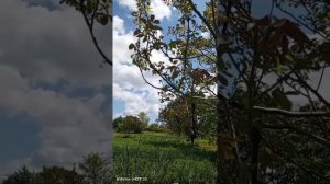 Красивая песня