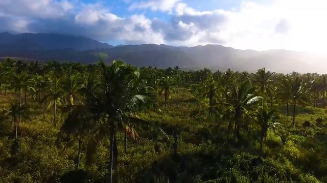 4k Video Hawaii Райские Острова смотреть онлайн