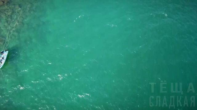 КАК НАС НИКТО НЕ УВИДЕЛ? МЫ ЖЕ БЫЛИ... Интересные истории из жизни. Рассказы о любви. Теща Сладкая