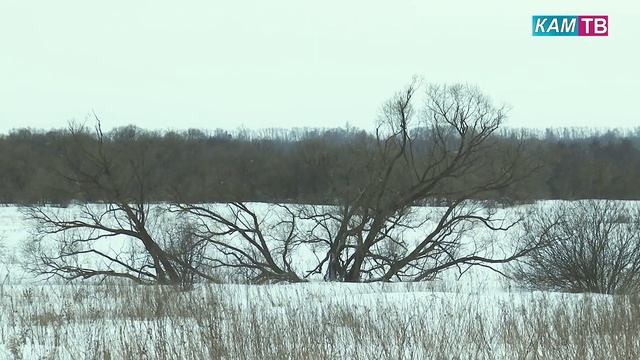 Зимняя видеозарисовка смотреть онлайн