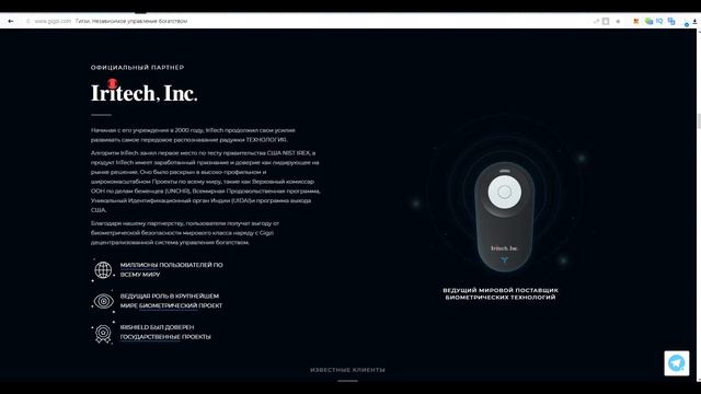 Обзор проекта GIGZI смотреть онлайн