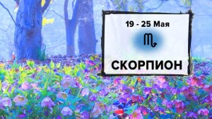 СКОРПИОН ♏ 19 - 25 Мая 2025 | Расклад таро на неделю для знака Зодиака Скорпион
