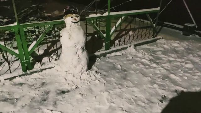 Весенний снежок