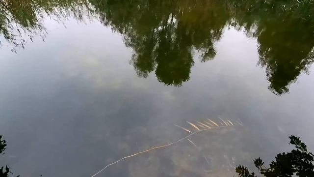 Славянск. 18 октября 2024г. Утро. смотреть онлайн