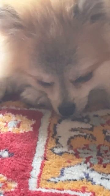 27 березня 2023 р.