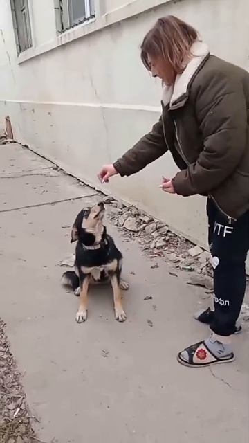 UPD 19 декабря Балаша нашлась! Она упала в колодец. Сегод смотреть онлайн