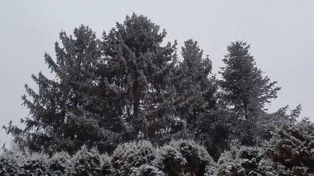 Пришла зима,выпал снежок смотреть онлайн