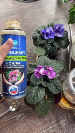 1 капля и любые цветы оживают зацветают пышной шапкой